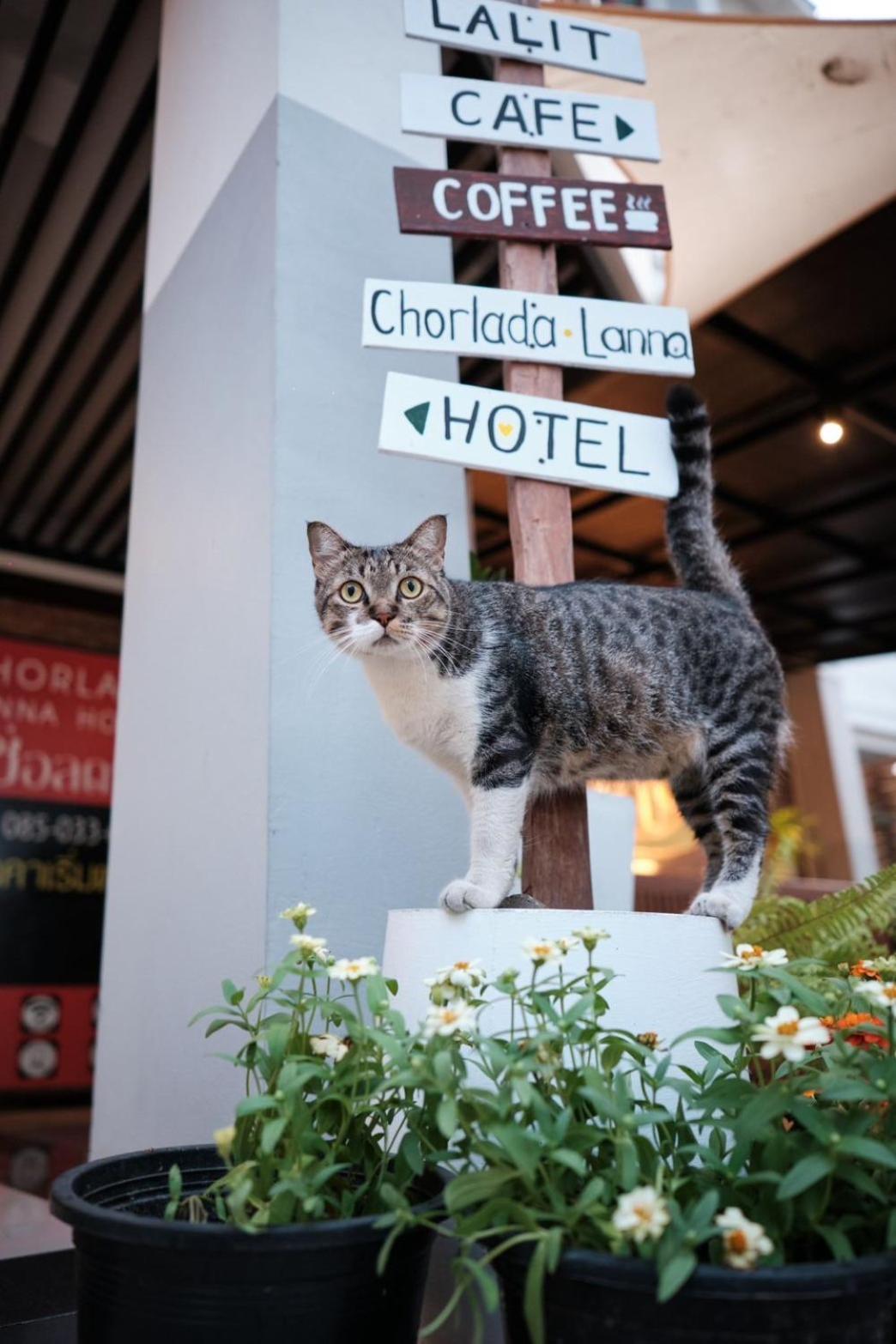 Chorlada Lanna Hotel Chiang Mai Buitenkant foto